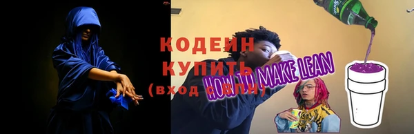 дурь Гусиноозёрск