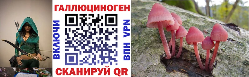 Галлюциногенные грибы Psilocybine cubensis Купить закладки Змеиногорск